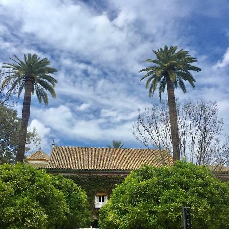 Apartamento Dona Maria Coronel Sevilla Esterno foto