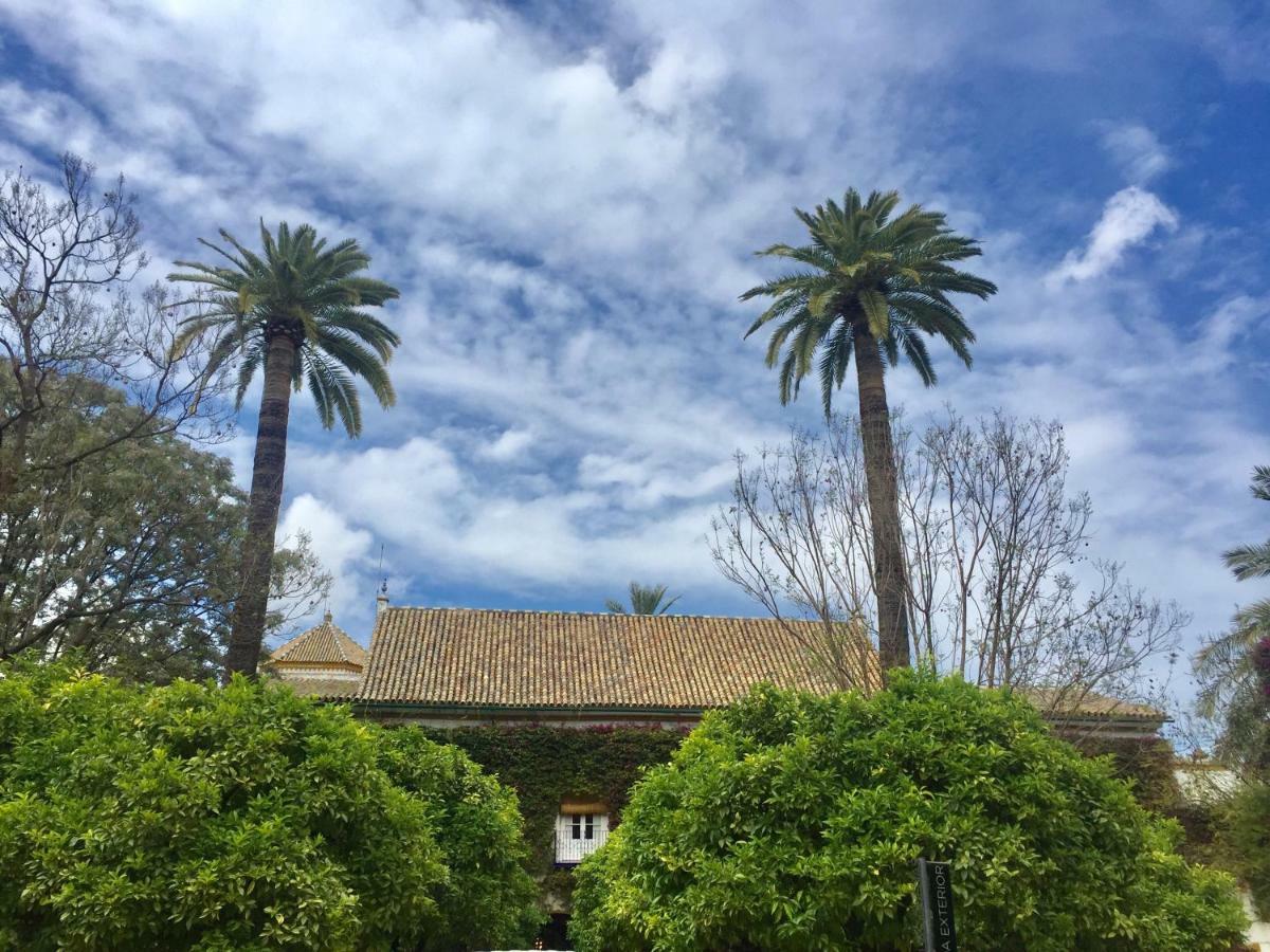Apartamento Dona Maria Coronel Sevilla Esterno foto