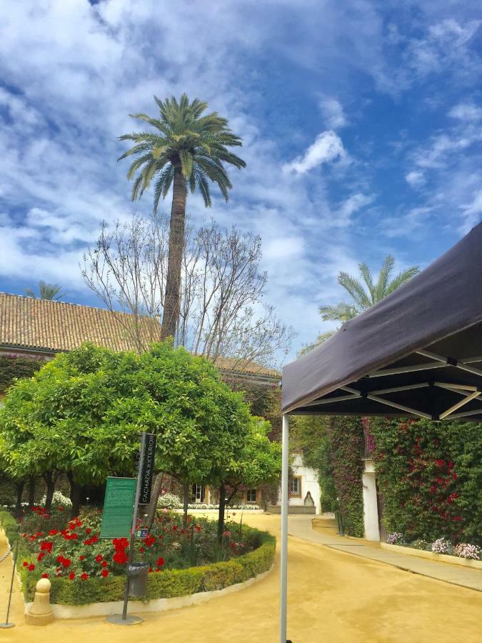 Apartamento Dona Maria Coronel Sevilla Esterno foto